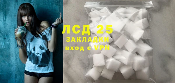 прущие грибы Алапаевск