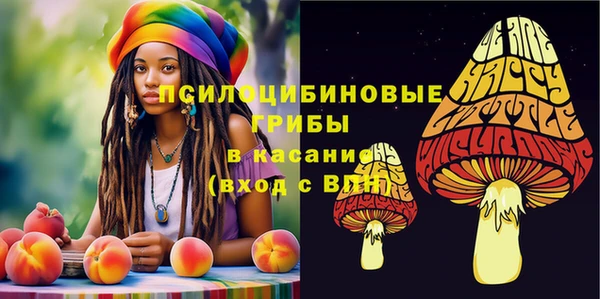 МДМА Медногорск