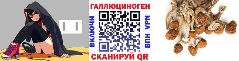 продажа наркотиков  Нижний Тагил  Псилоцибиновые грибы Cubensis 