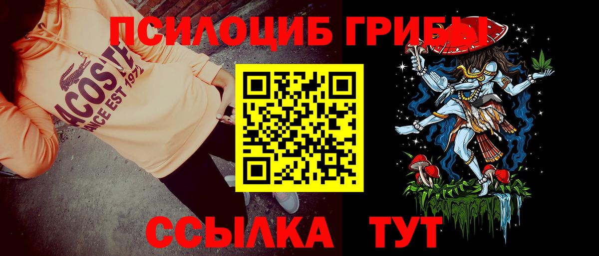 Галлюциногенные грибы MAGIC MUSHROOMS  Вход с VPN  Нижний Тагил  Псилоцибиновые грибы прущие грибы 